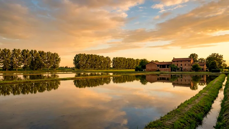 Flooded rice fields and a brick farmhouse south of Milan at golden hour.